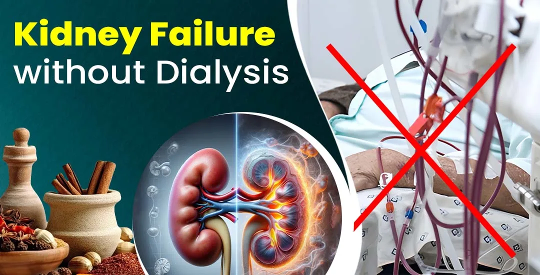 Kidney Failure Treatment Without Dialysis Kidney Failure Treatment Without Dialysis